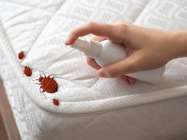 Professional Pest Control in East Lansdowne, PA